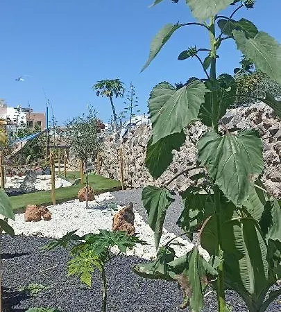 Asociacion Deportiva Tagoror Los Olivitos Campsite *