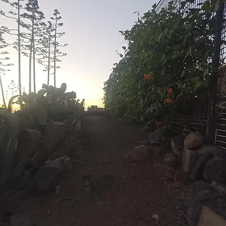 Asociacion Deportiva Tagoror Los Olivitos Campsite Costa Adeje (Tenerife)